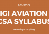 igi aviation csa syllabus
