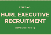 hurl executive recruitment