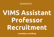 vims assistant professor recruitment