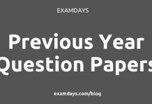 previous year question paper pdf