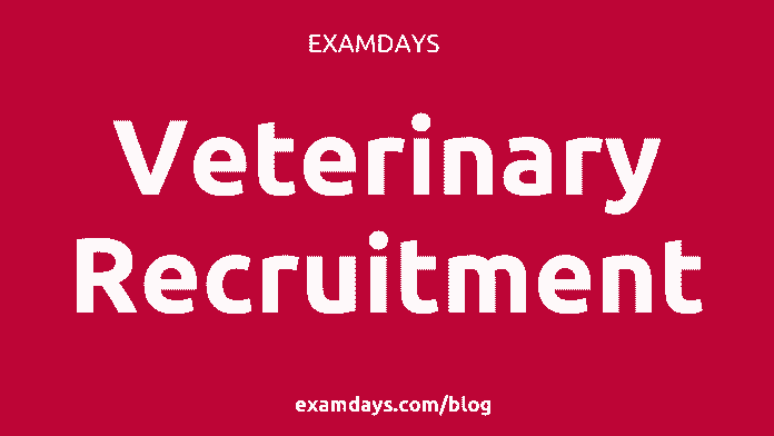 veterinary recruitment
