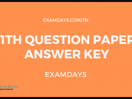 tn 11 paper answer key