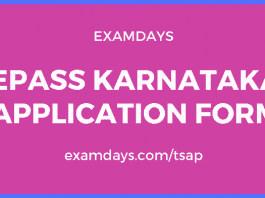 epass karnataka application form