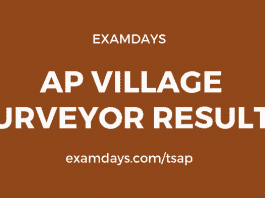 ap village survey assistant results