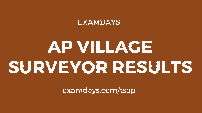 ap village survey assistant results