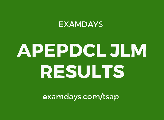 apepdcl jlm result