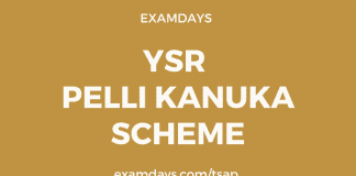 ysr pelli kanuka apply