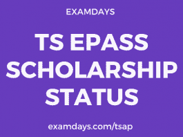 ts epass status