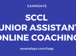 sccl junior assistant coaching