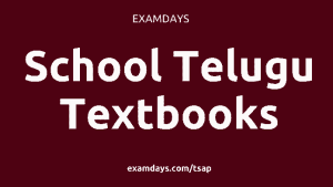 6th class essay 1 paper telugu