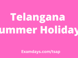 Telangana Summer Holidays