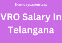 VRO Salary In Telangana