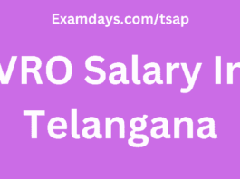 VRO Salary In Telangana