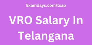 VRO Salary In Telangana