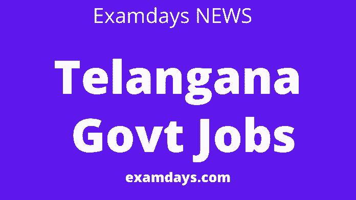 Telangana Govt Jobs