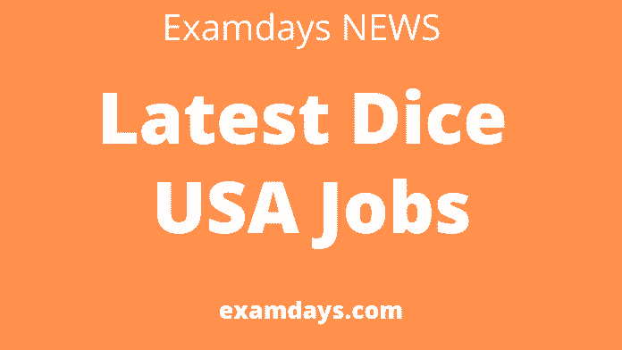 dice usa jobs